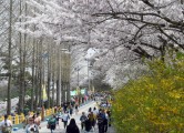 목포 유달산 봄 축제