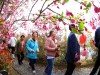 강진군, 초대 서부해당화 봄꽃축제 개장식 열어