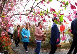 강진군, 초대 서부해당화 봄꽃축제 개장식 열어